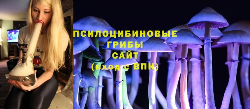 Псилоцибиновые грибы Magic Shrooms Балахна