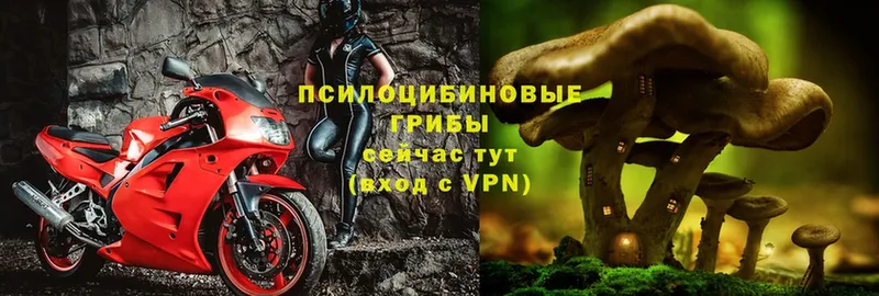 Псилоцибиновые грибы мухоморы  Балахна 